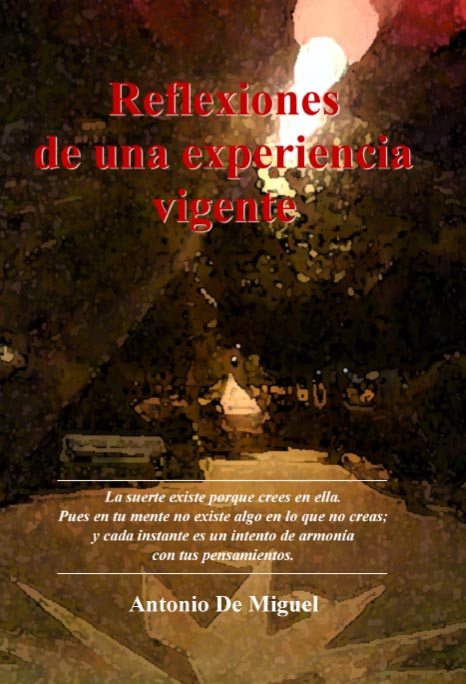 Reflexiones de una Experiencia Vigente Reflexiones de una Experiencia Vigente